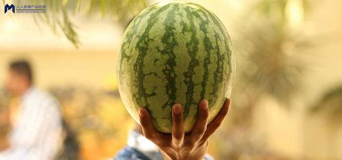 娱乐圈可以吃大瓜,揭秘明星幕后真相